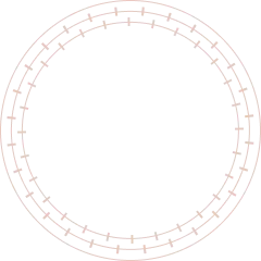 Timer icon