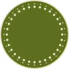 Timer icon